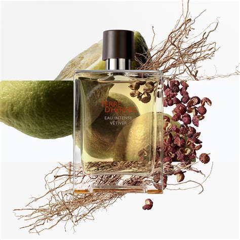 perfume terre d hermes preço|terre d'hermes perfume 100ml price.